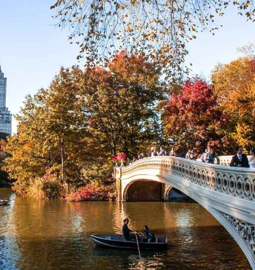 Rowboat under the Bow Bridge in Central Park, New York City, in autumn